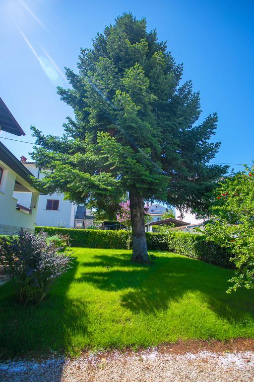 פורץ Apartment Pinia מראה חיצוני תמונה
